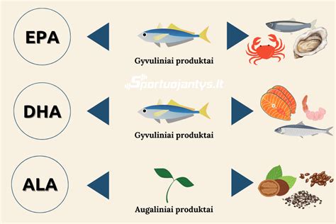 Schema, iliustruojanti omega-3 riebalų rūgščių naudą