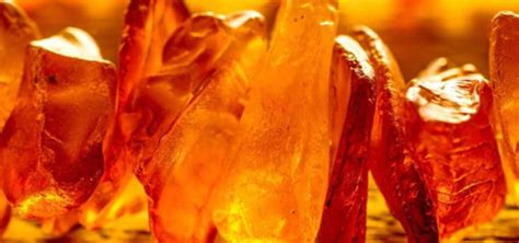 Schema, kaip atliekama apvaisinimo mėgintuvėlyje procedūra