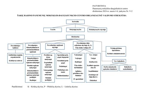 Schematinis įmonės valdymo pavaizdavimas
