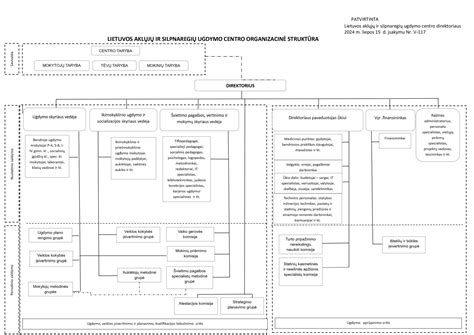 Lyginamoji schema: specialiojo ugdymo sistemos Lietuvoje ir JAV.