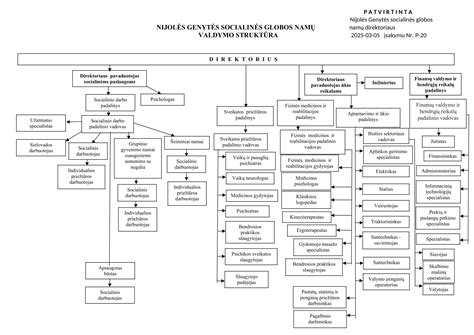 Asmeninio socialinės globos plano struktūra