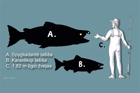 Infografika: finansavimo dydžių palyginimas