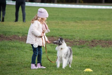 Vaiko ir šuns bendravimas