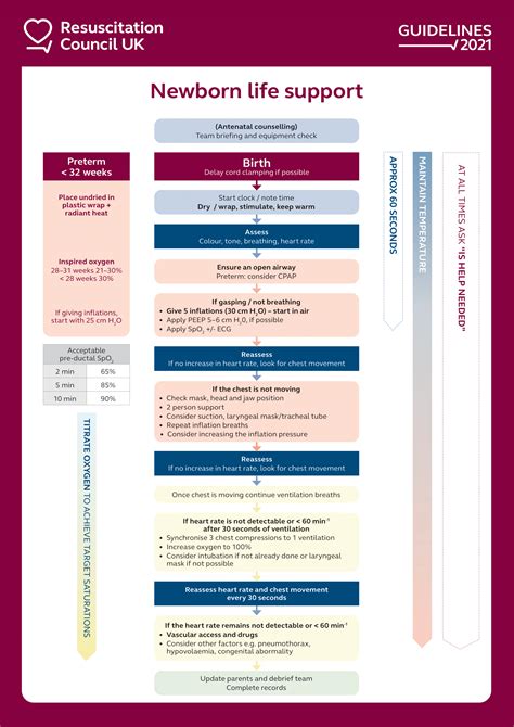 schema of maternity support in the UK