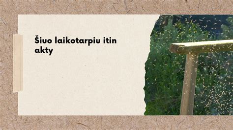 Saugotis vabzdžių lauke