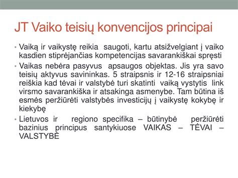Vaiko teisių konvencijos principai