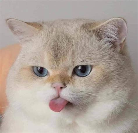 Nuotrauka: batai prie įėjimo į namus