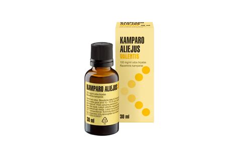 Kamparo augalas ir jo aliejus