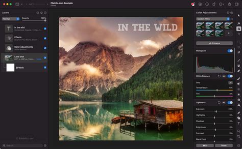 Pixelmator Pro sąsaja