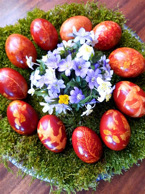 Moterys dažo margučius svogūnų lukštais