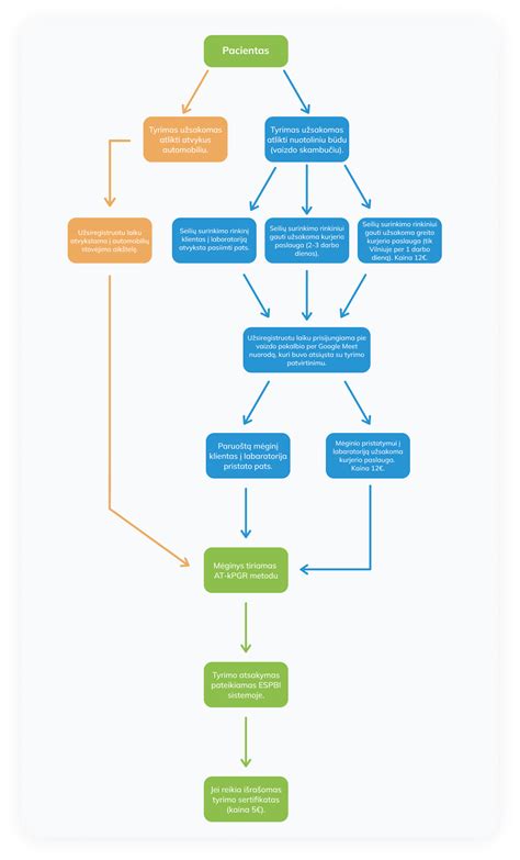Schema, iliustruojanti PAP testo atlikimo eigą