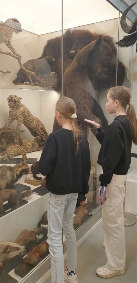 gyvūnų iškamšos Vilniaus universiteto zoologijos muziejuje
