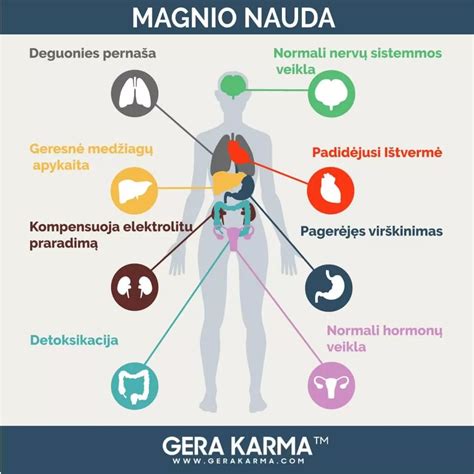 Magnio nauda organizmui