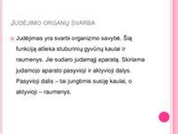 Schematinis judėjimo testo pavaizdavimas