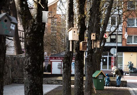 vaikai sodina medelius Žemės dienos proga