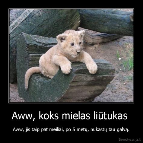 Mielas liūtukas