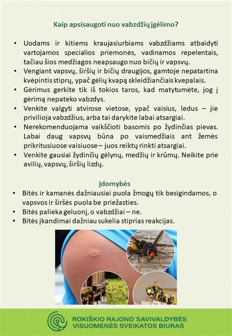 kaip apsisaugoti nuo vabzdžių