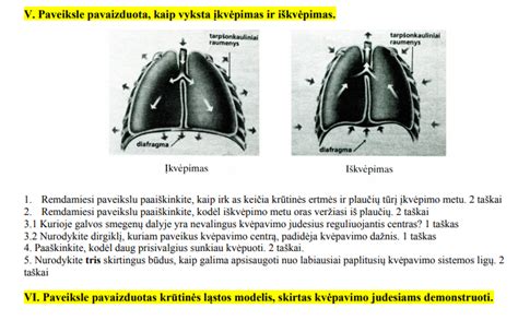 Mokiniai matuoja plaučių tūrį
