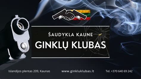 Ginklų kategorijų schema