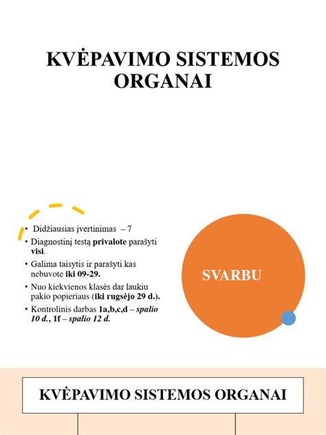 Kvėpavimo sistemos schematinis vaizdas