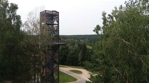 Vaizdas į Anykščių šilelio gamtą su upeliu Puntuku