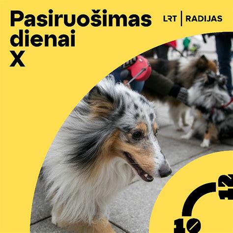 Aistė Paškevičiūtė su savo augintiniais