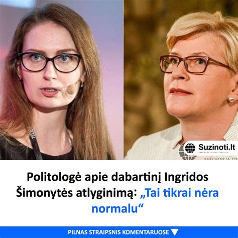 Ingridos Šimonytės interneto svetainės ištrauka
