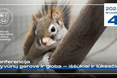 Gyvūnų globa ir jų gerovė