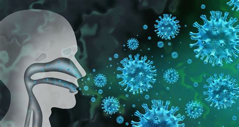 Vaizdinis paaiškinimas, kaip bakterijos ir virusai atrodo po mikroskopu