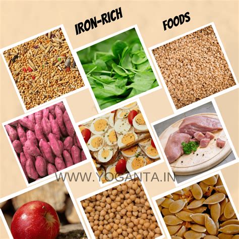 sources of iron