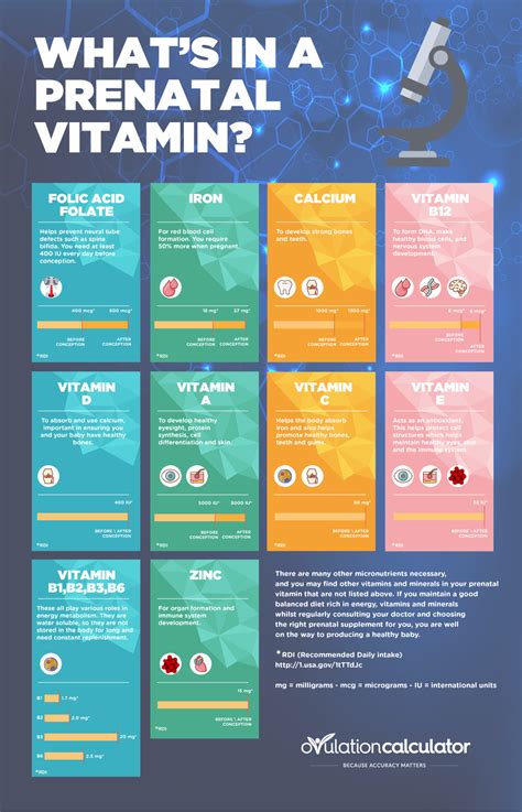infographic on prenatal vitamins