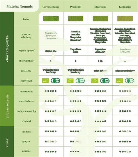 Infografika: Naudingosios matcha savybės