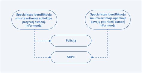 ES socialinės apsaugos sistemos schema