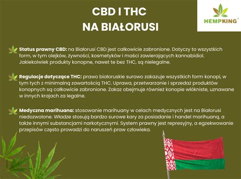 Infografika apie CBD spektrus