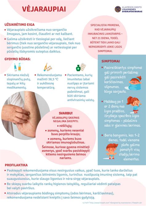 Vėjaraupių bėrimo fazės