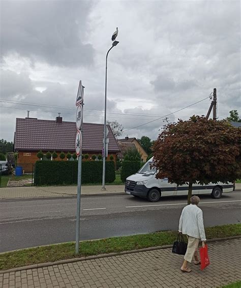 Gandras su lizdu ant stulpo