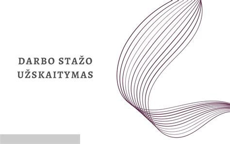 Darbo stažo rūšių schema