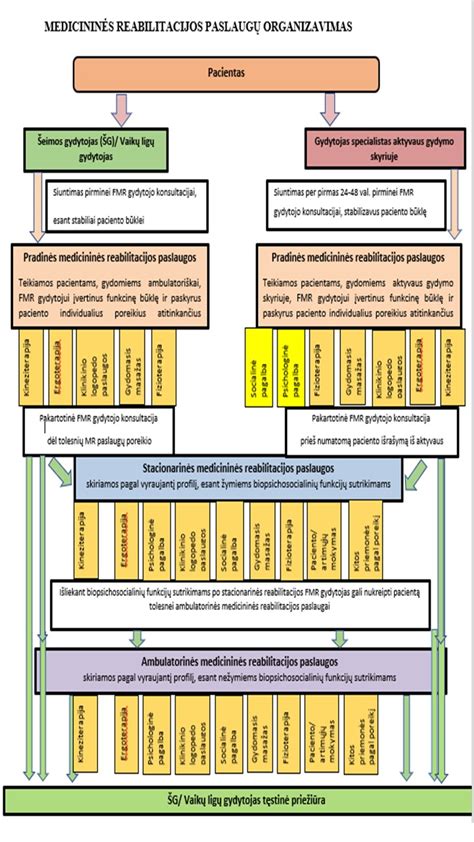 Schema, kaip skiriamos reabilitacijos paslaugos vaikams