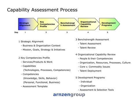 schema of legal capacity assessment process