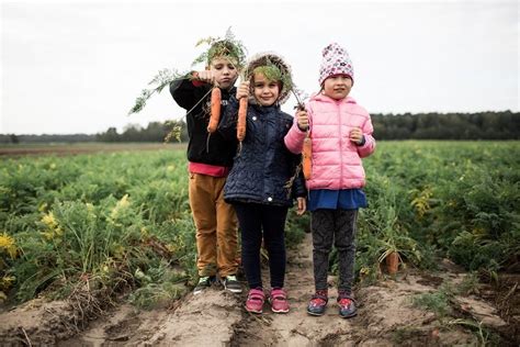 vaikai glaudžiasi prie gyvūnų ūkyje