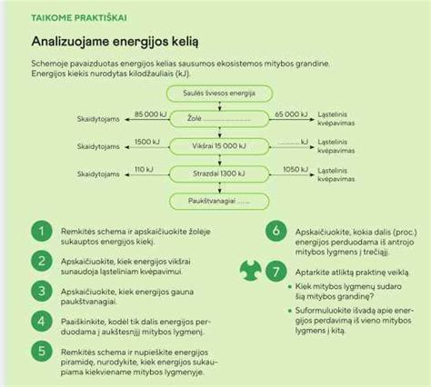 Astrologinis būstų sistema schemoje