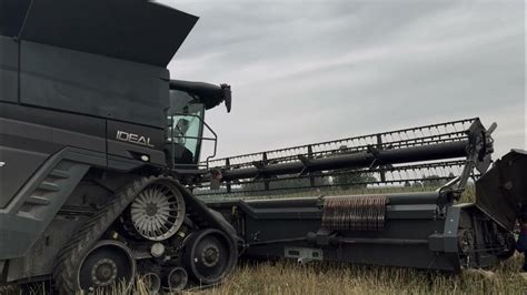 Derliaus nuėmimas kombainu