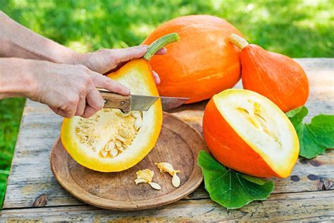 šviežias moliūgas ir melionas