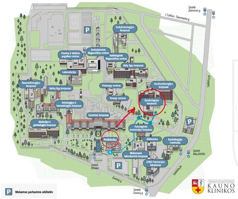 Schema Kauno klinikos struktūros