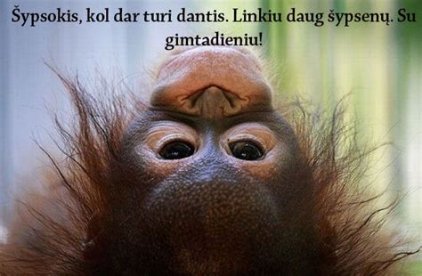 Juokingi gimtadienio atvirukai