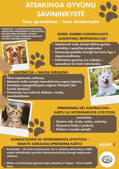 Gyvūnų globa Rokiškyje