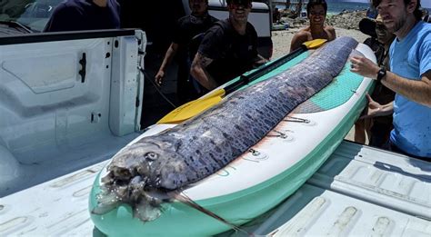 Pasaulio pabaigos vizija