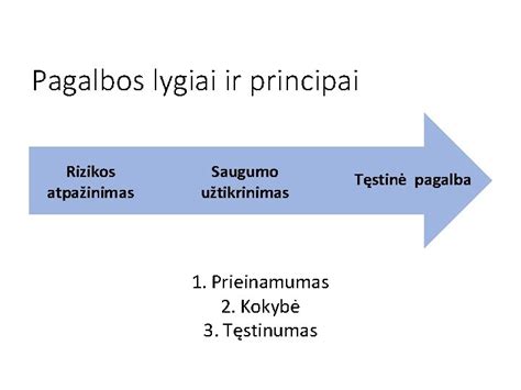 Naujagimio saugumo principai