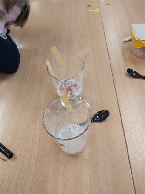 Kiaušinio lukšto sudėties diagrama