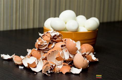 Įvairūs kiaušinių lukštų panaudojimo būdai